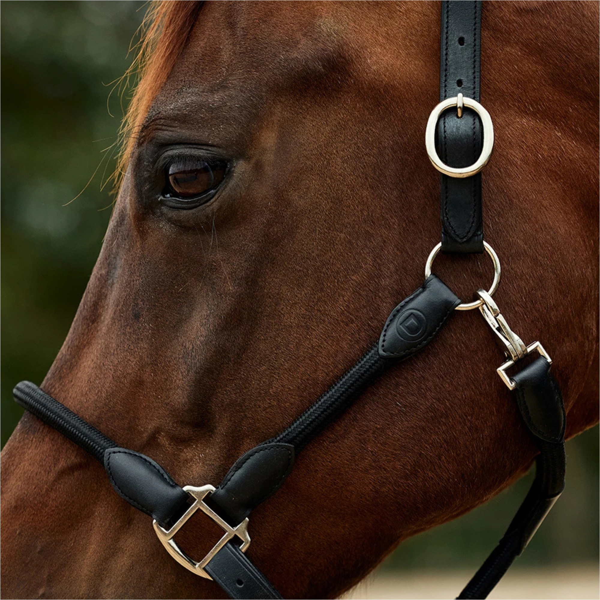 2026 Dublin Leather Rope Headcollar 1031533 - Black / Black